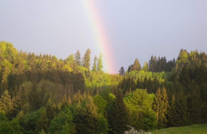 Regenbogen im Thurgau